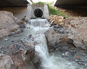 讓廢水變“活水”！鎮(zhèn)海再生水“養(yǎng)”出生態(tài)濕地公園